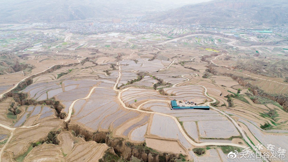 抖音卖赞下单自助平台微信