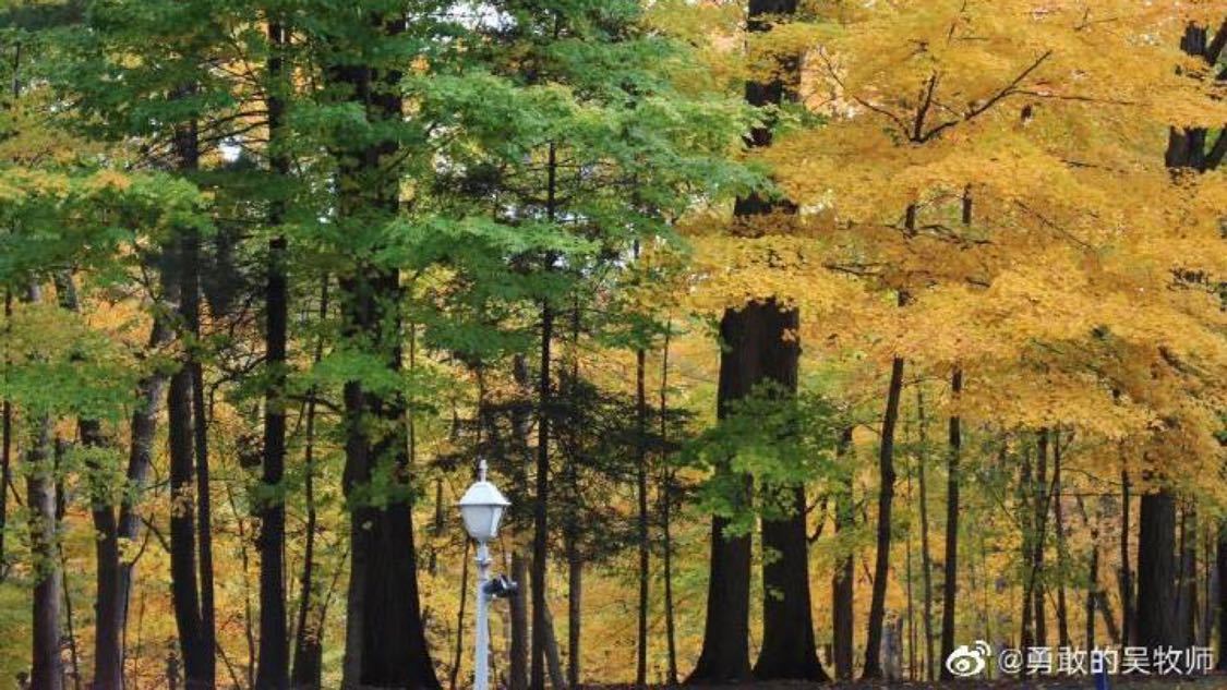 超低价ks业务自助下单平台